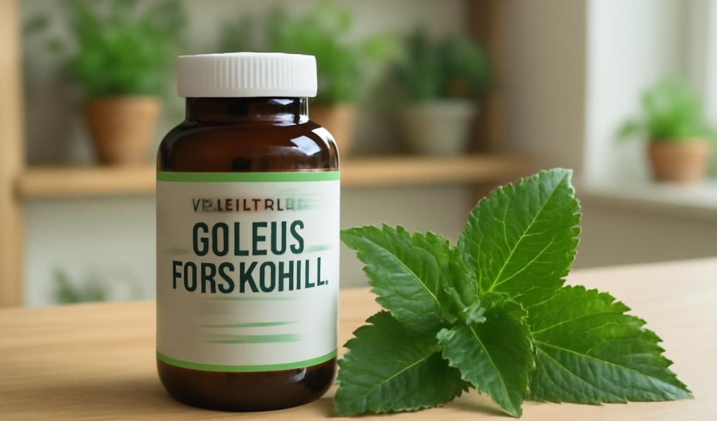 Coleus Forskohlii Danger : Contre-Indications et Risques Réels